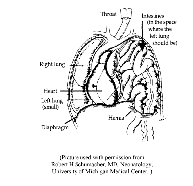 025687-1