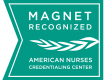 Magnet Recognition Program