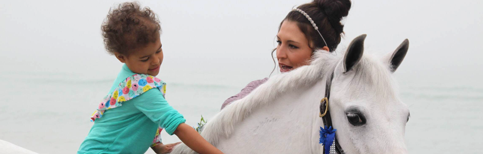 Camber on a horse in the ocean