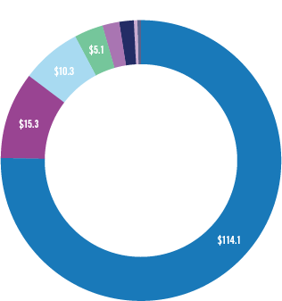 Community Health Benefit graphic representation