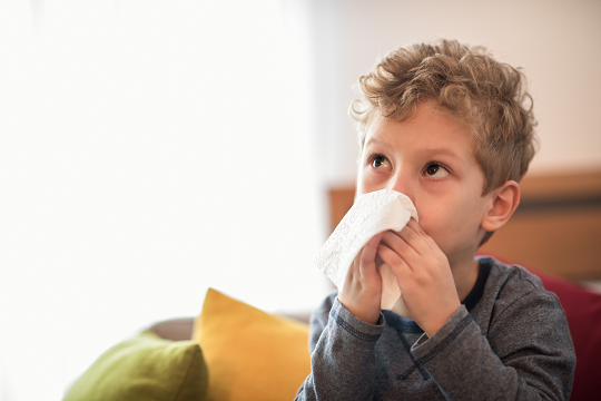 Little boy coughing into a tissue