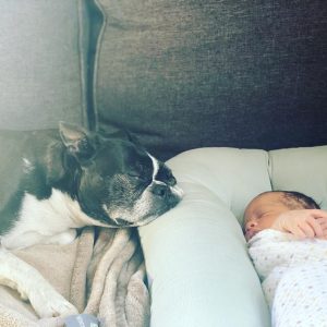 Baby Jabari naps next to Radar the dog