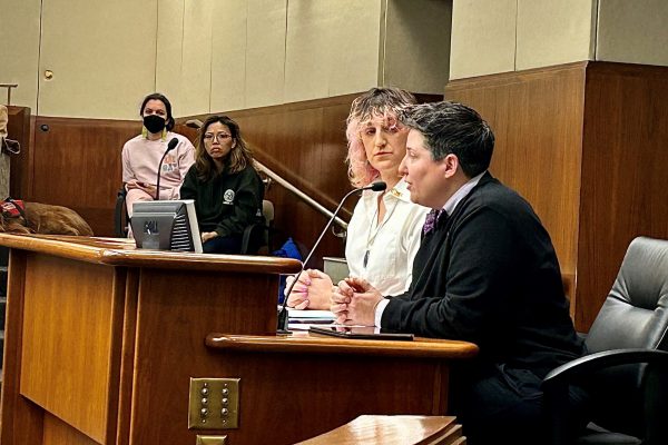 Dr. Angela Goepferd (right) testifies in favor of the Trans Refuge Bill.