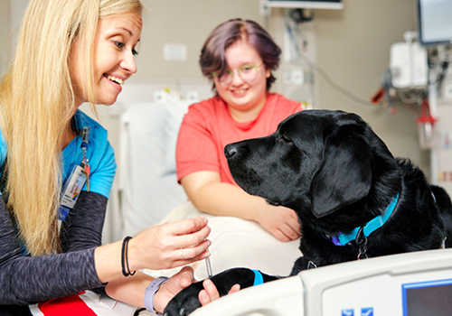 Rigg the dog, showing patient how to stay calm during a vaccine