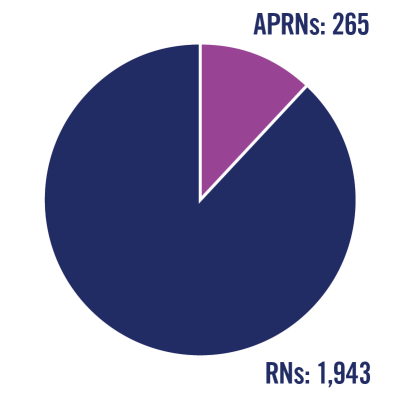 Pie chart showing APRNs=265 and RNs=1943