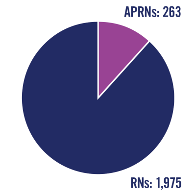 Pie chart showing APRNs=263 and RNs=1975