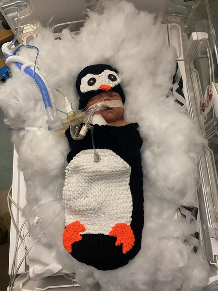 NICU baby dressed up as a Penguin for Halloween