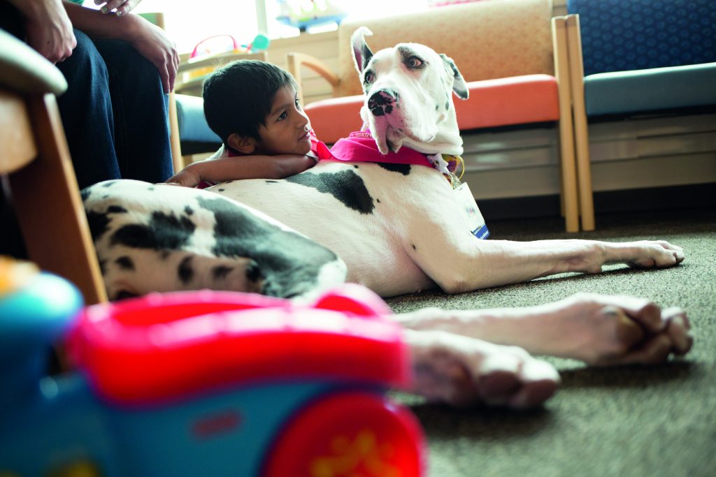 A patient with a Pets Assisting With Healing (PAWH) pet in the hospital