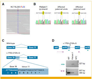 Within the case report, FIG 3. Validation of abnormal DICER1 splicing in case