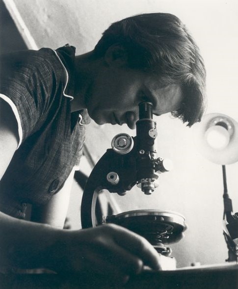 Black and white photo of scientist Rosalind Franklin looking into a microscope.