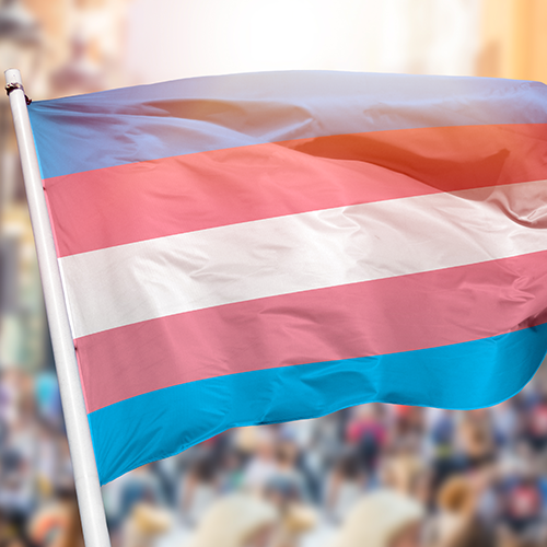 Transgender flag in public