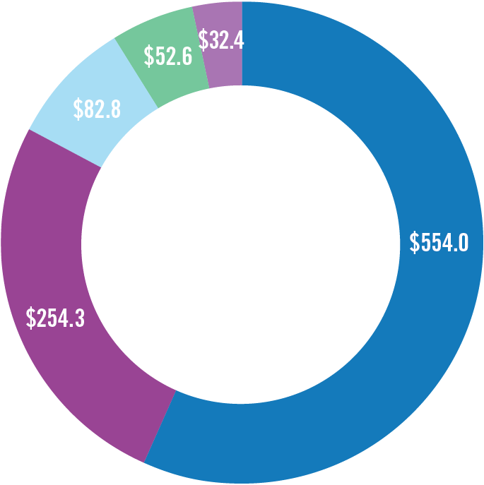 Ring graph of uses of revenue in 2019
