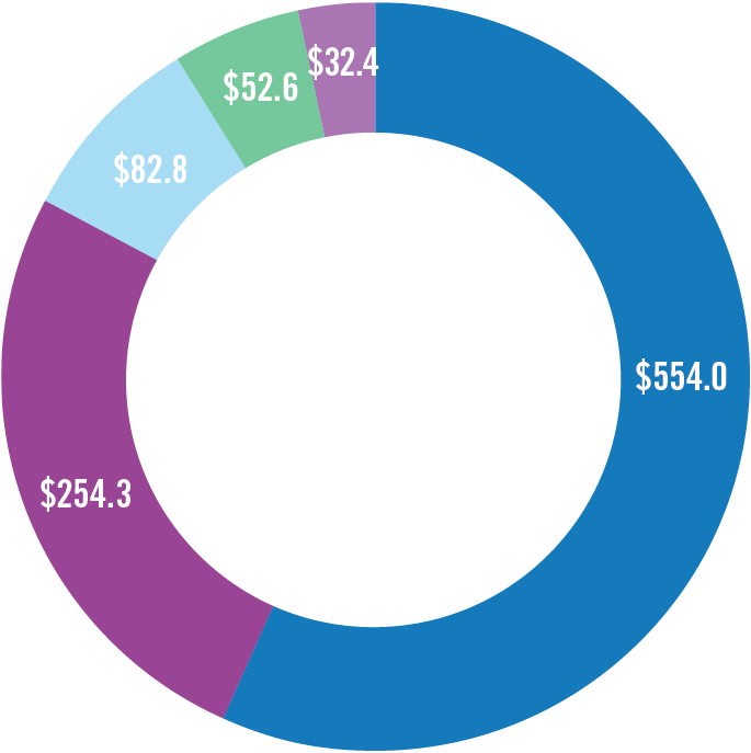 Ring graph of uses of revenue in 2019