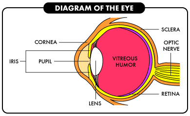 eye diagram