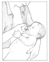 Baby opening the mouth to latch onto the breast