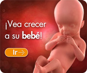 ¡Vea crecer a su bebé!