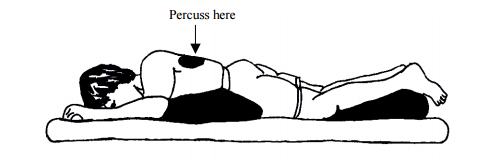 Lvlupfit.comwhat Organ In Just Underbthe Bottom Left Rib : Pain under left rib cage when bending ...