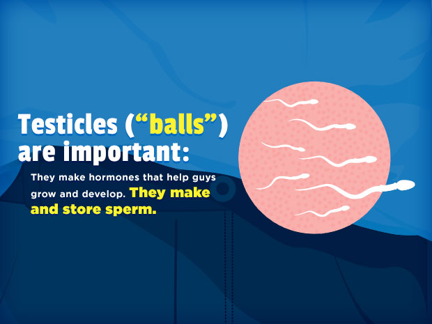 Talking to someone about your balls might be embarrassing. But if you have pain, you need to get help.Doctors do a simple surgery to fix the torsion. For guys who catch the problem in time, that's the end of it. Even guys who lose a testicle can still have sex and father kids.