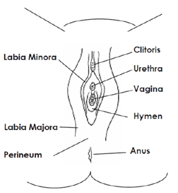 What Does It Mean When Your Clit Hurts