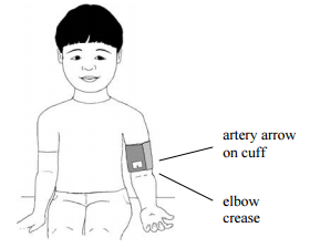 How To Measure Your Child – Aisabobo